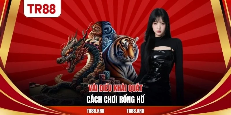 Vài điều khái quát cách chơi rồng hổ