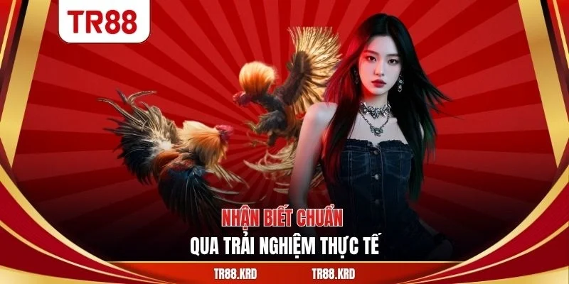 Nhận biết chuẩn qua trải nghiệm thực tế